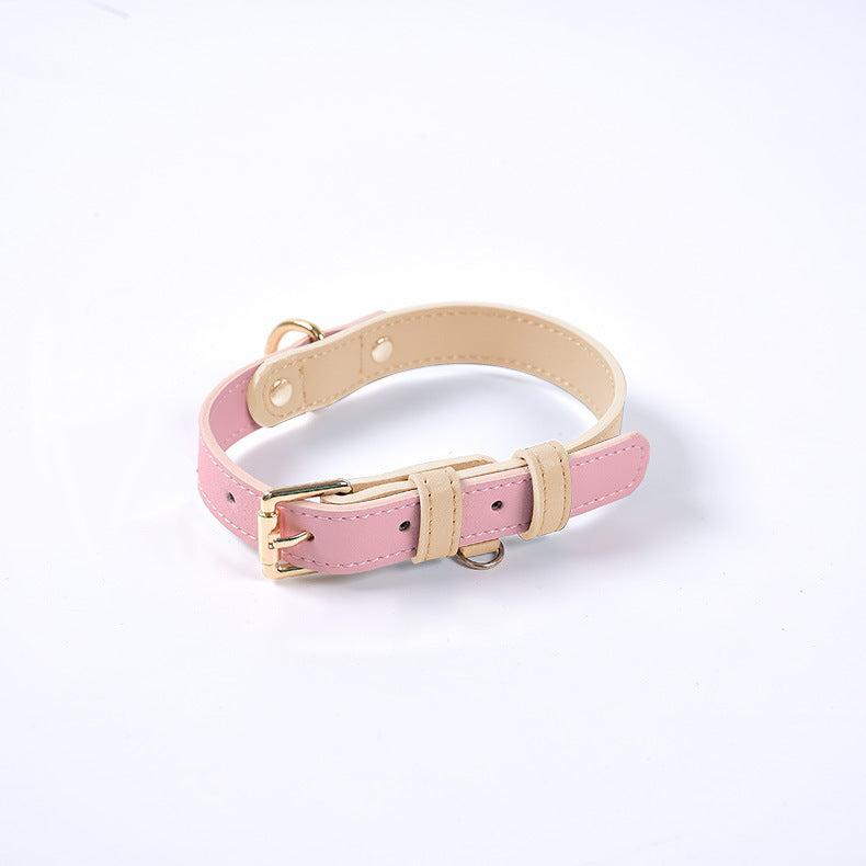 Collar y Correa de Cuero para Perro