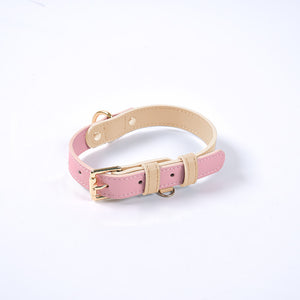 Collar y Correa de Cuero para Perro