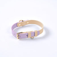 Morado
