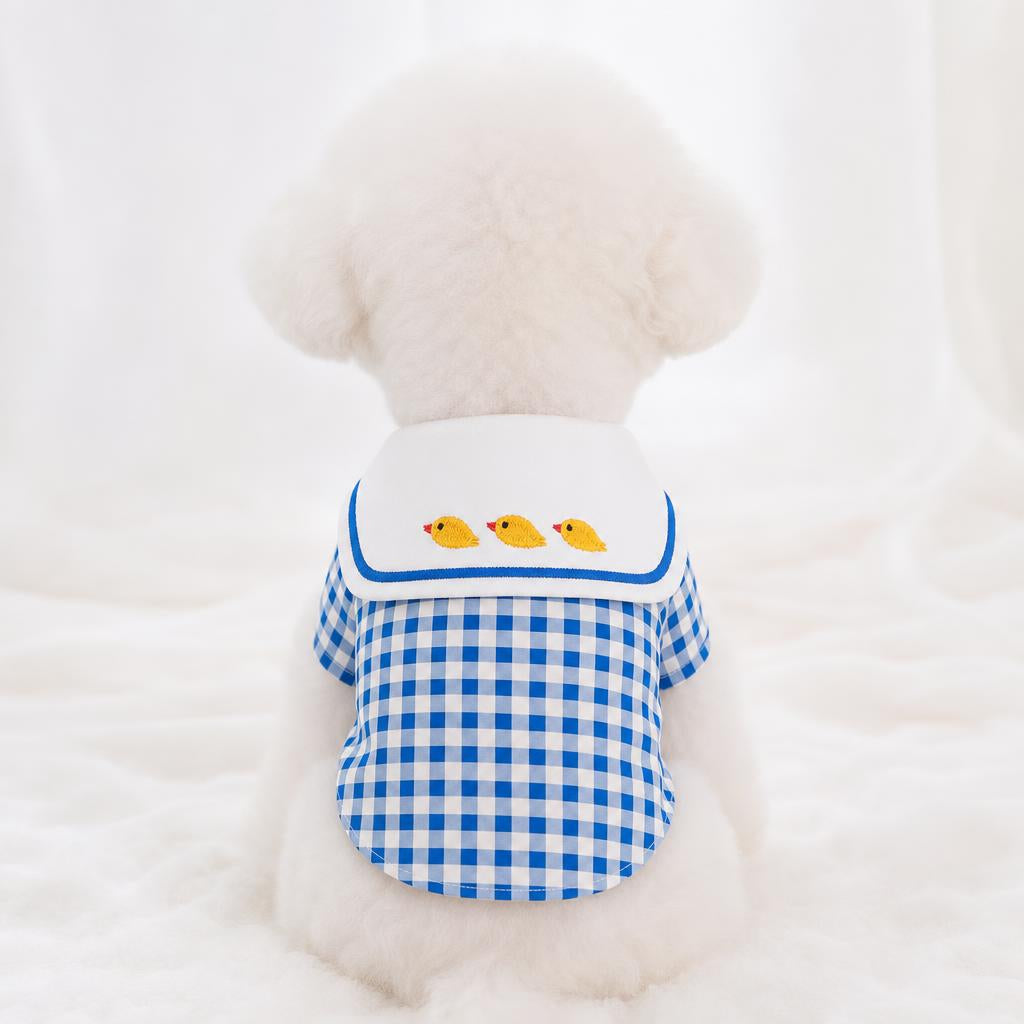 Camisa de cuadros vichy para perro color azul, vista de espalda