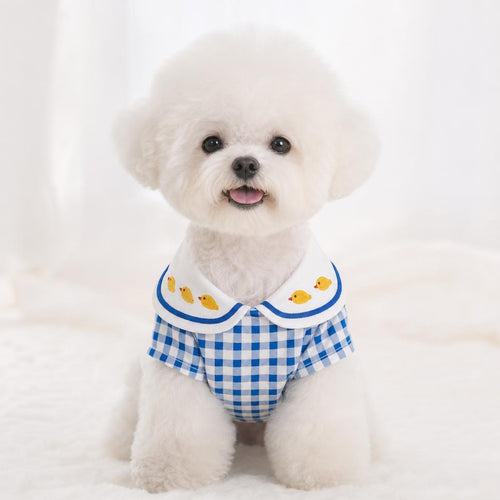Camisa de cuadros vichy para perro color azul