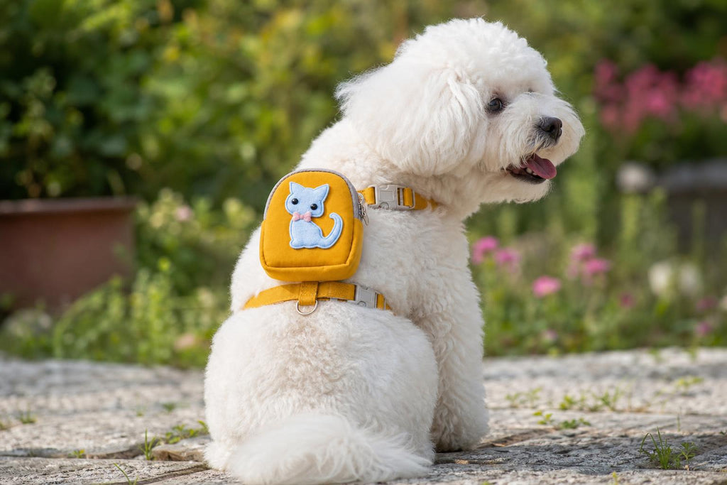 Perro paseando con la mochila mini PetUno puesta